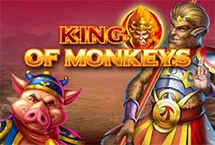 RTP Playngo campslot138
